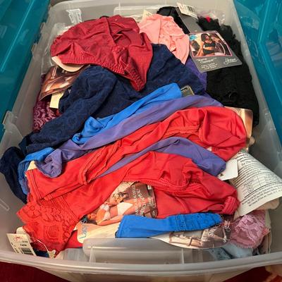 HUGE Lot NEW Women's Undergarments