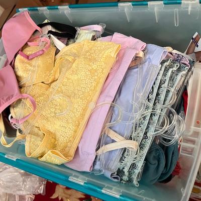 HUGE Lot NEW Women's Undergarments
