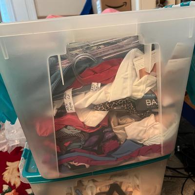 HUGE Lot NEW Women's Undergarments