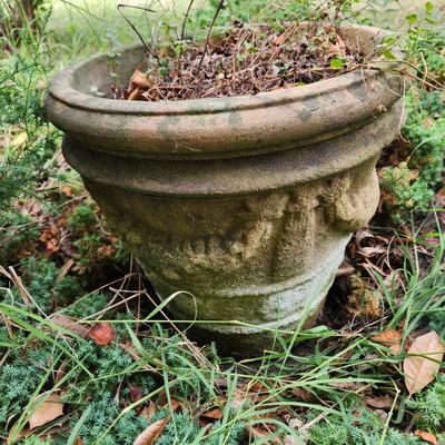 Heavy Concrete Planter