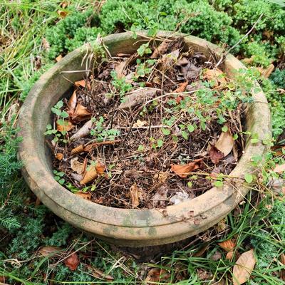 Heavy Concrete Planter