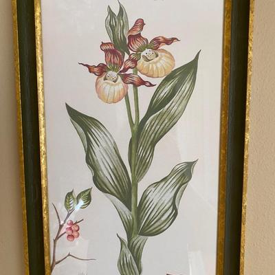Set of 4 botanical framed, signed and numbered prints