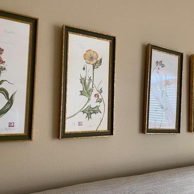 Set of 4 botanical framed, signed and numbered prints