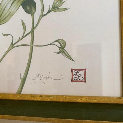 Set of 4 botanical framed, signed and numbered prints