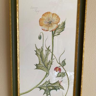 Set of 4 botanical framed, signed and numbered prints