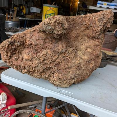Wonderful Cherry Tree Burr