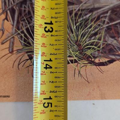 Robert Nipp 1975 American Advertisers Bicentennial Edition Prints