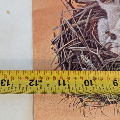 Robert Nipp 1975 American Advertisers Bicentennial Edition Prints