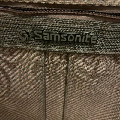 Samsonite & Protege Luggages Set of 2