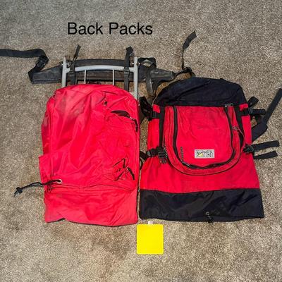 Set Of 2 Back Packs