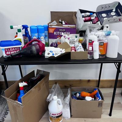 LARGE Lot of Cleaning Product Including the Table