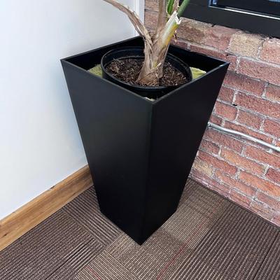Potted Plant with Planter 