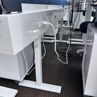 TRIPPLE RAIL with Dividing Wall (3) Panel 