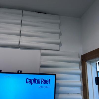 Zoom Room 1 SOUND WALL PANELS no Clips