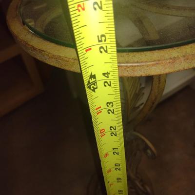 Wrought Metal Decorative Pedestal Glass Top Plant Stand
