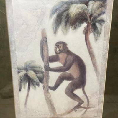 Vintage Monkey Print Mounted in a Heavy Wooden Custom Frame Size 23.5" x 28" in VG Preowned Condition.