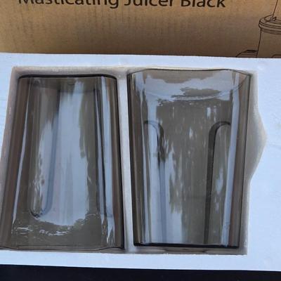 Masticating Juicer
