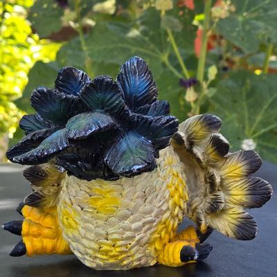 Chicken Decor