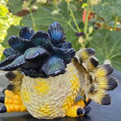 Chicken Decor