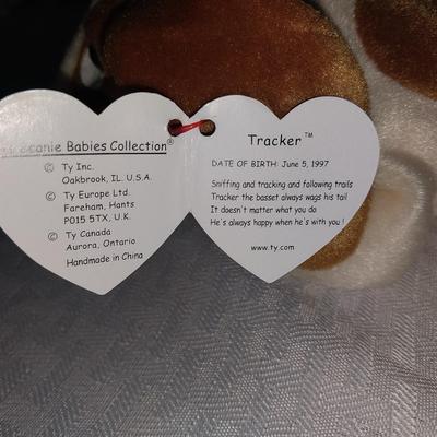 TRACKER-CONGO-ALMOND BEANIE BABIES