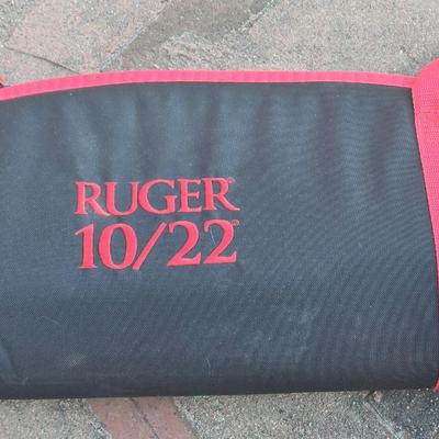 Ruger 10/22 40" Allen Case