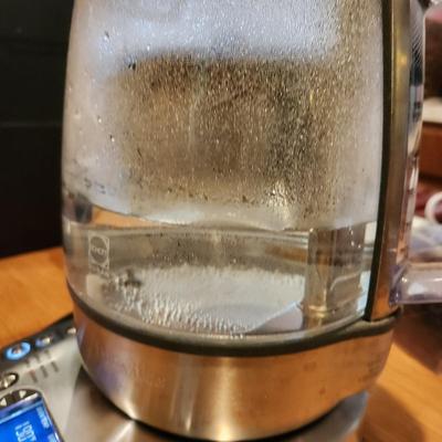 Breville Hot Tea Maker Tested BTM800xl