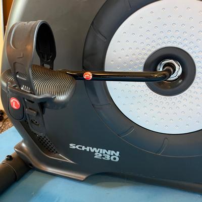Schwinn Recumbent Bike Series