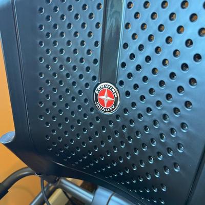 Schwinn Recumbent Bike Series