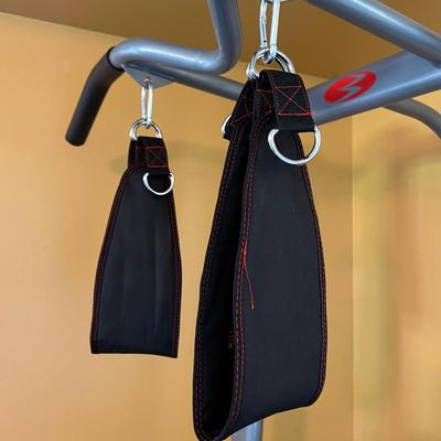 BowFlex Body Tower