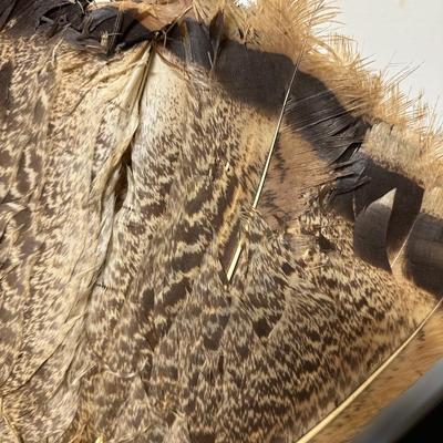 ANTIQUE TURKEY FEATHER HAND FANS & MORE LOT