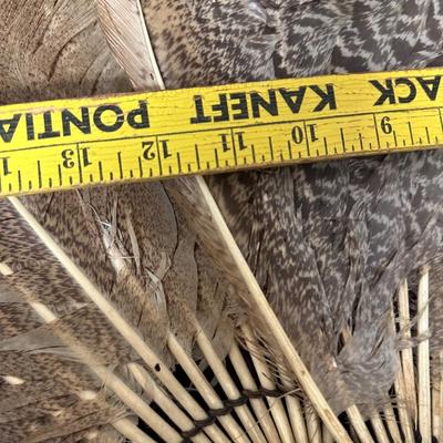 ANTIQUE TURKEY FEATHER HAND FANS & MORE LOT