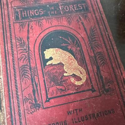 ANTIQUE BOOK LOT