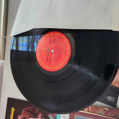 18 Record Albums Lot Paul Simon Roy Orbison Linda Ronstadt Waterloo Willie Nelson and more