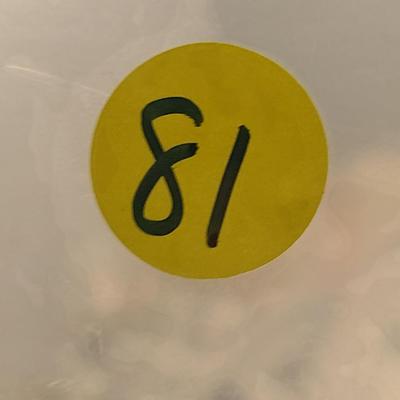 Collection of Fashion Jewelry (#81)