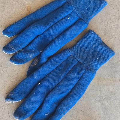 Garden Gloves and Hand Tools