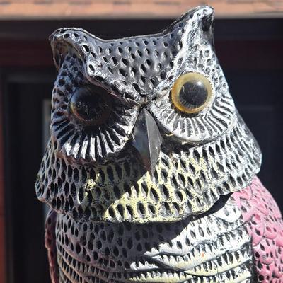 Lawn & Garden Owl