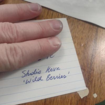 Nova Studio 'Wild Berries' Glass Platter and Salad Set- 6 Pieces Total