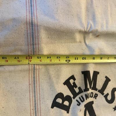 Vintage Bemis & Golden Eagle Sacks