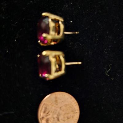 Garnet Pierced earrings