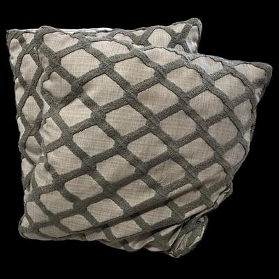 Pair of Decorator Throw pillows 20"