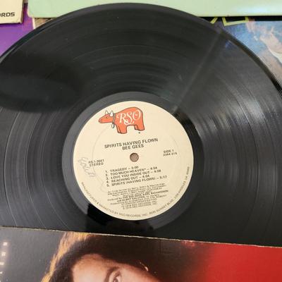 Record Albums Lot Simon Garfunkel Del Shannon Phoebe Snow Bill Haley Jerry Lewis Doors, Herman's HermitsHotel California