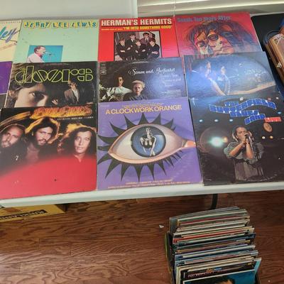 Record Albums Lot Simon Garfunkel Del Shannon Phoebe Snow Bill Haley Jerry Lewis Doors, Herman's HermitsHotel California