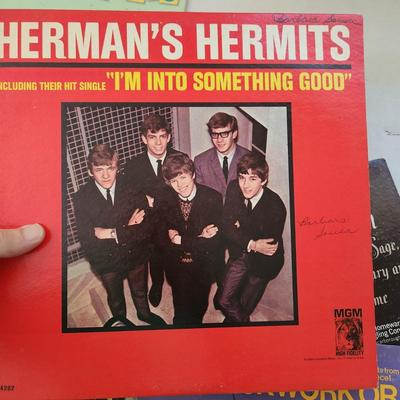 Record Albums Lot Simon Garfunkel Del Shannon Phoebe Snow Bill Haley Jerry Lewis Doors, Herman's HermitsHotel California