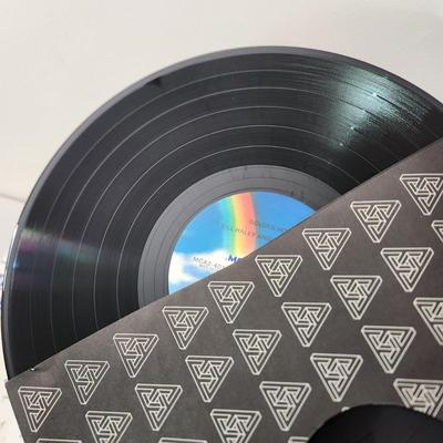 Record Albums Lot Simon Garfunkel Del Shannon Phoebe Snow Bill Haley Jerry Lewis Doors, Herman's HermitsHotel California