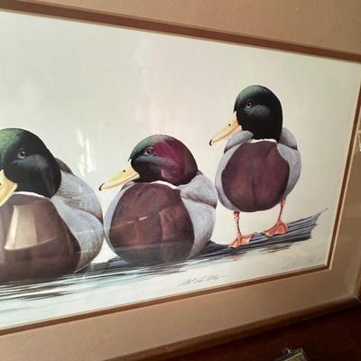 FRAMED DUCK ART