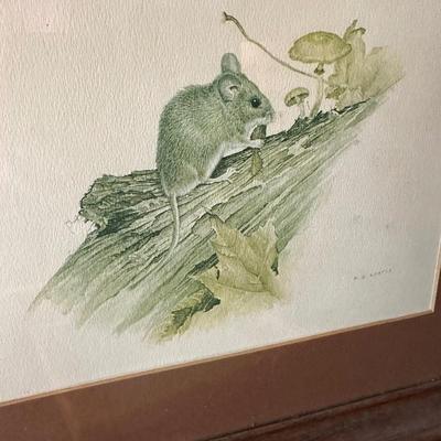 FRAMED ANIMAL PICTURE LOT