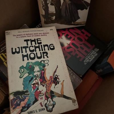 PAPERBACK BOOK LOT