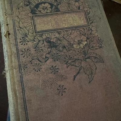 COLLECTIBLE BOOK LOT