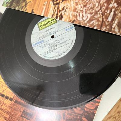Lot of Record Albums Woodstock Beatles White Album, Magical Mystery Tour Abby Road Sgt Peppers Love Songs, Fleetwood MAc,