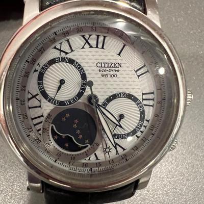 Citizen Eco Drive WR-100 Mens Watch